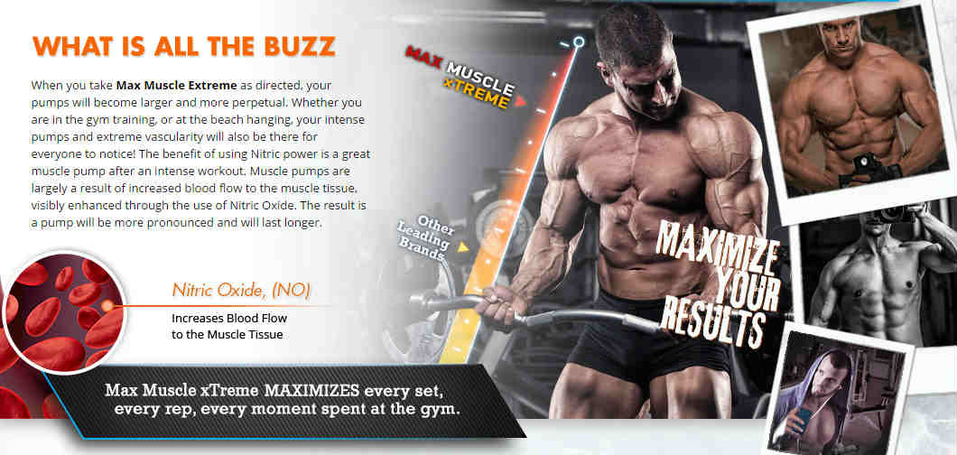 Max Muscle Xtreme and Max Test Ultra Testosterone Reviews