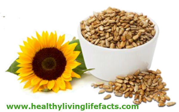 sunflower-seeds-Plant-Based Protein