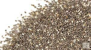 chia seed plant base protein