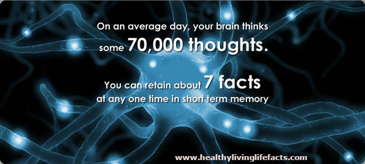 human brain facts