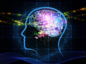 Alpha Levo IQ Best Human Brain Supplements Reviews:-Is This Legit or Scam?
