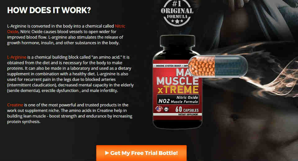  Max Muscle Extreme Ingredients 