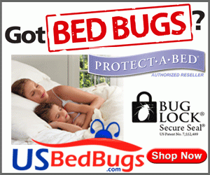  BED-BUGS 