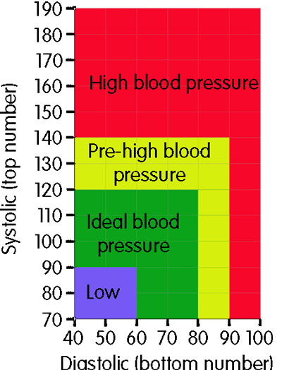 Blood Pressure Secret 